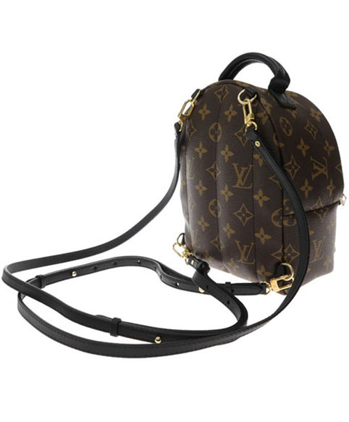 Louis Vuitton Monogram Palm Springs Backpack Mini Bag Brown - AlimorLuxury