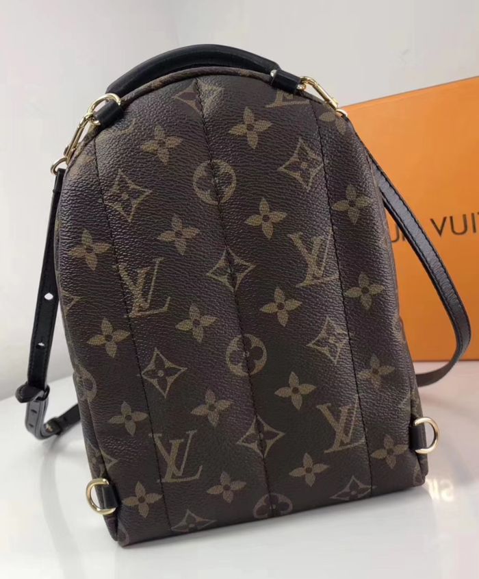 Louis Vuitton Palm Springs backpack Brown - Image 3