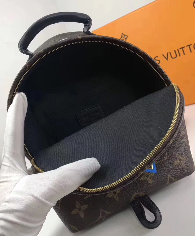 Louis Vuitton Palm Springs backpack Brown - Image 6