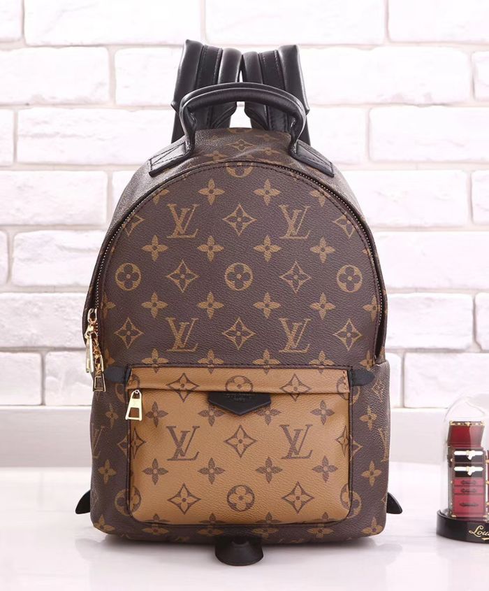 Louis Vuitton Palm Springs Pm Brown