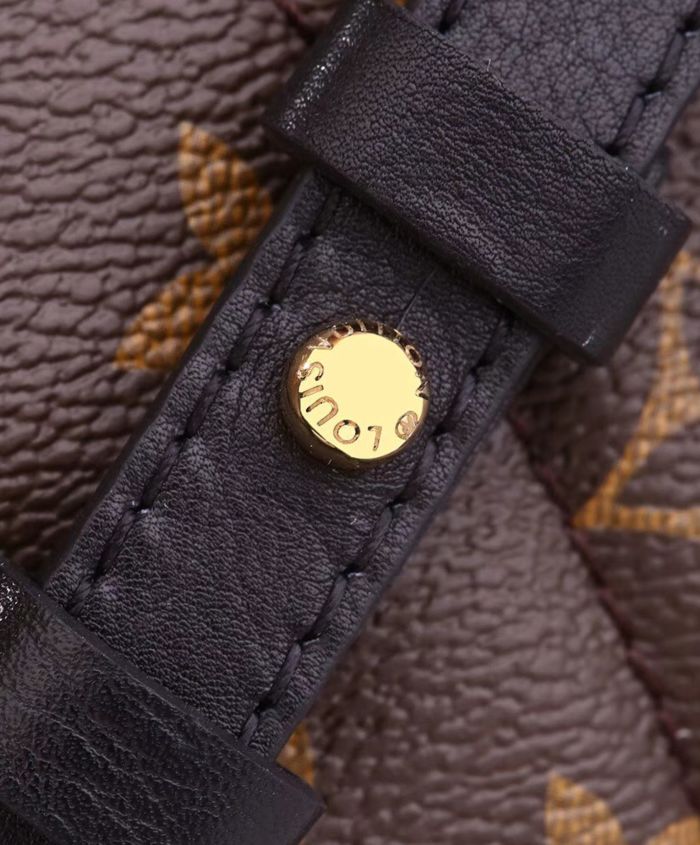 Louis Vuitton Palm Springs Pm Brown - Image 5