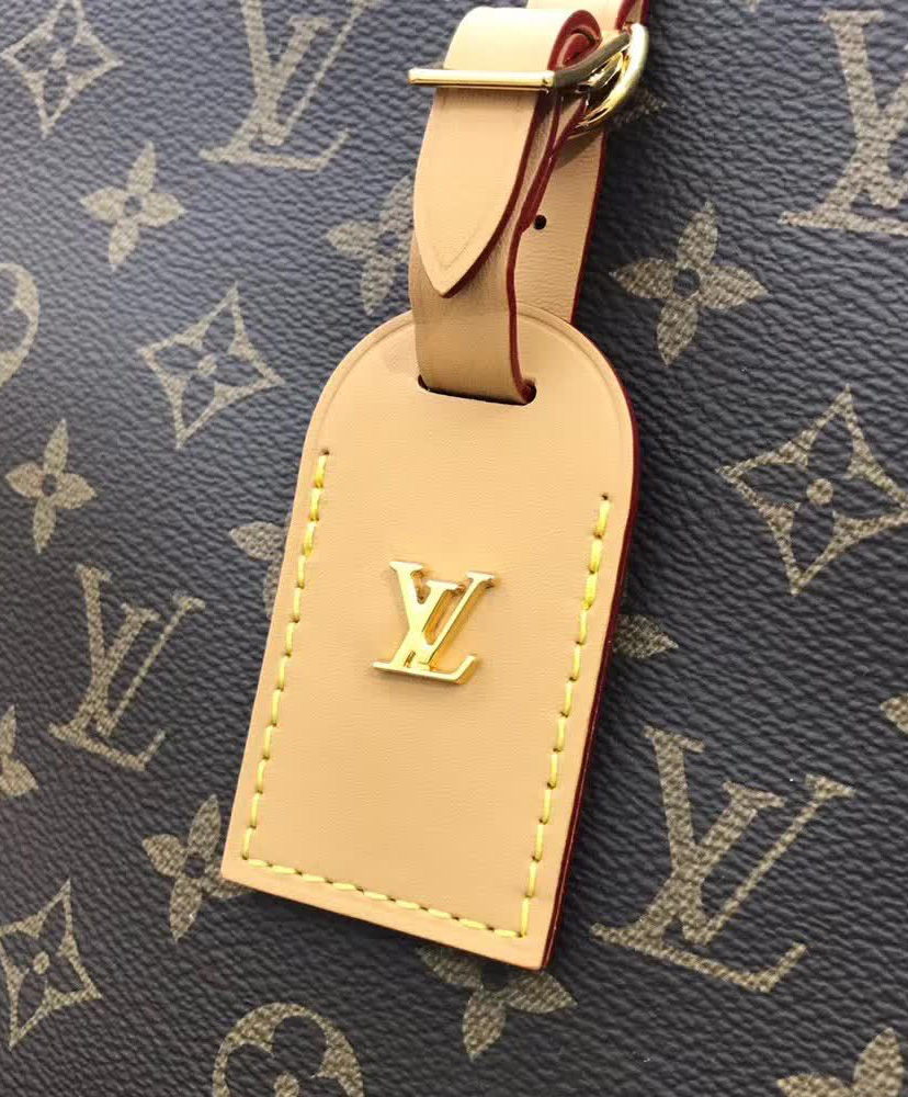 Louis Vuitton Odeon MM Brown - Image 5