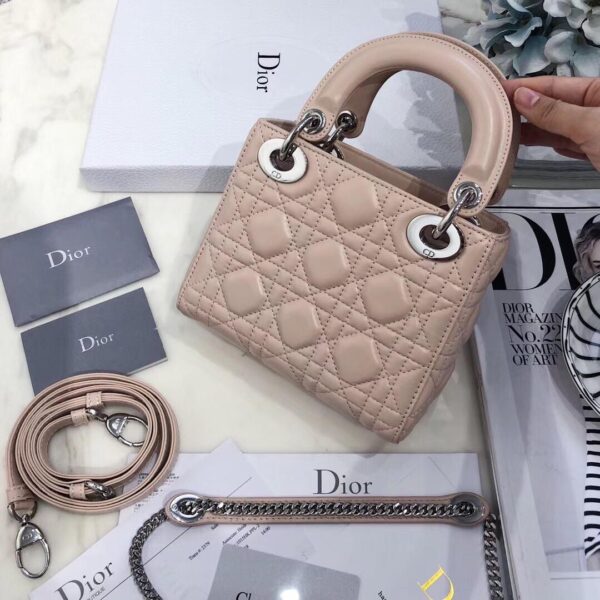 lady dior 10