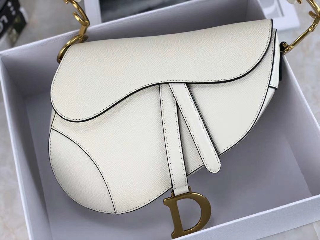 dior saddle calfskin