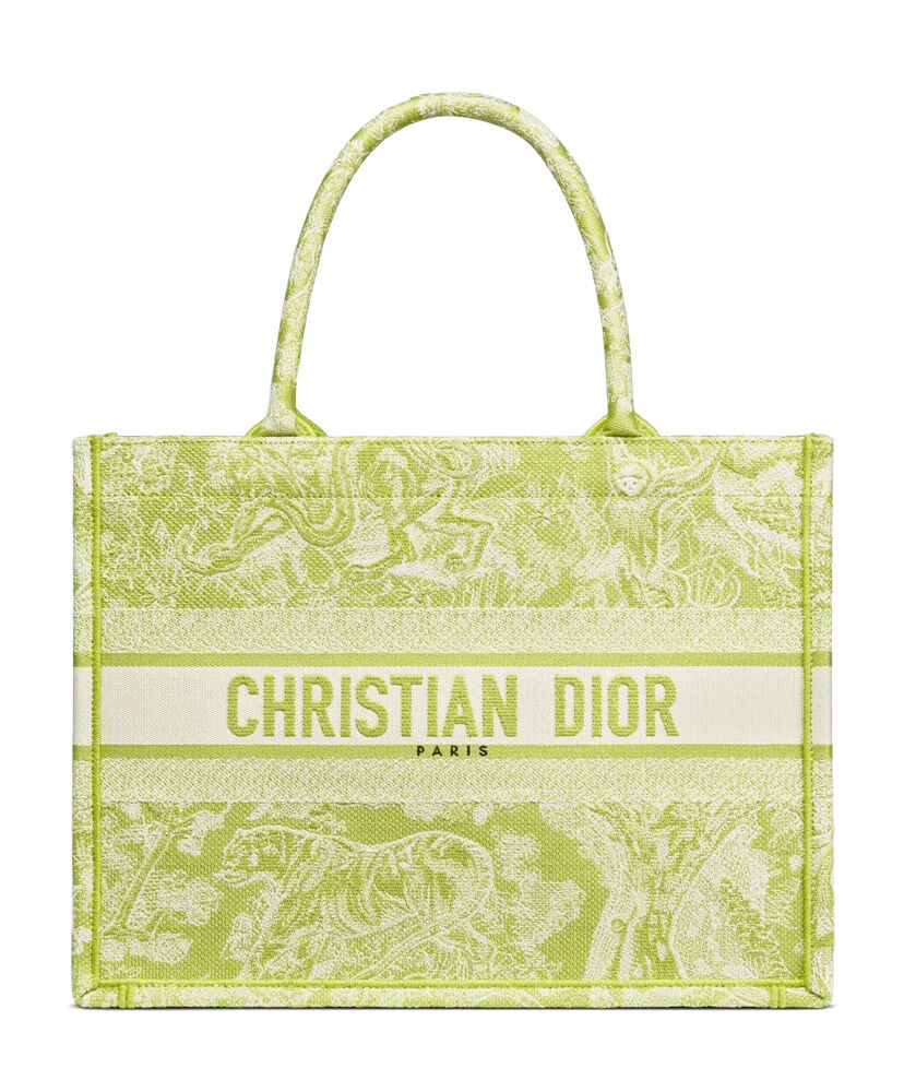 Christian Dior Small Dior Book Tote - Replica Bags and Shoes online ...