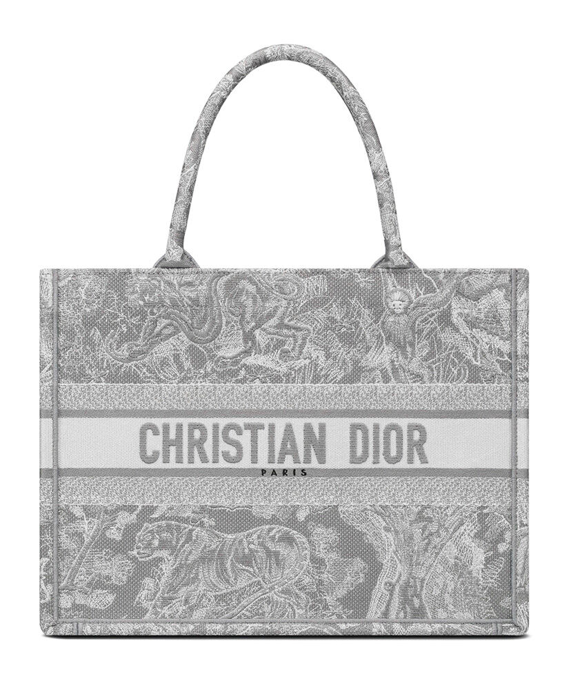 Christian Dior Small Dior Book Tote - Replica Bags and Shoes online ...