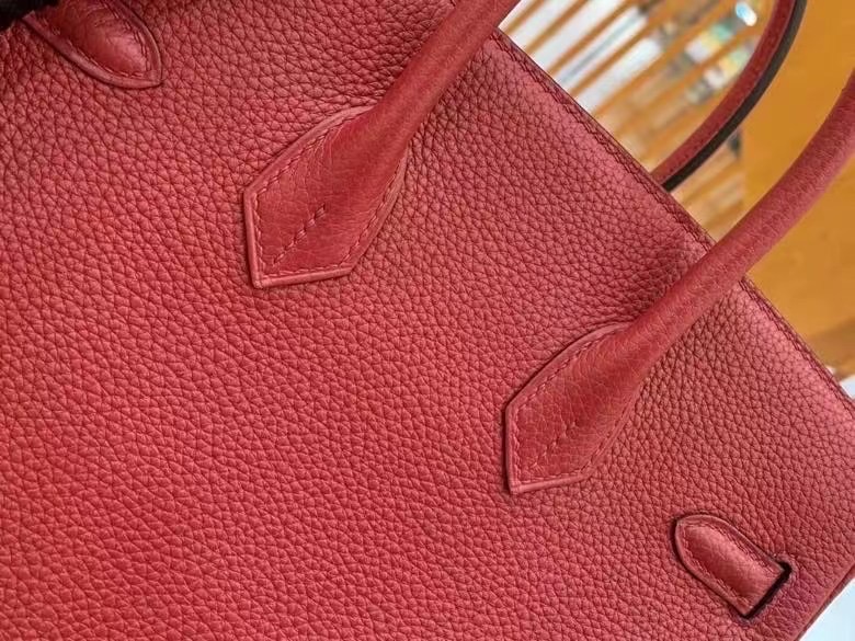 Hermes Birkin Maron Togo Leather 25 Bag - AlimorLuxury