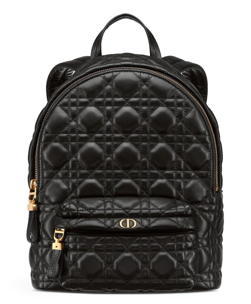 Christian Dior Small Dior Backpack Black Replica Bags and Shoes
