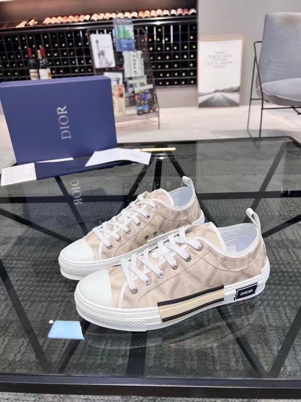 low top dior 1s