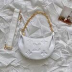 Louis Vuitton Bubblegram Over