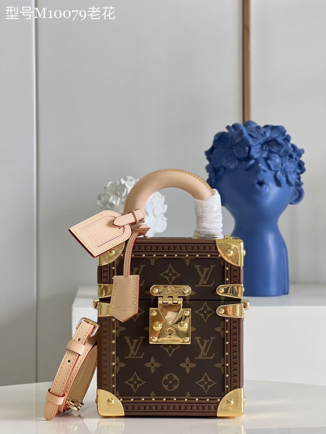Louis Vuitton The Camera Box M10079 - Replica Bags and Shoes online Store -  AlimorLuxury