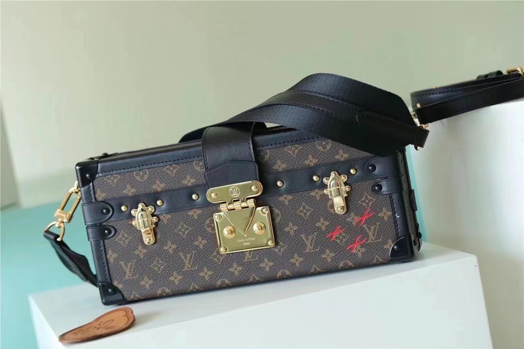 Louis Vuitton LV Petite Malle East West bag Brown Leather ref.506513 - Joli  Closet
