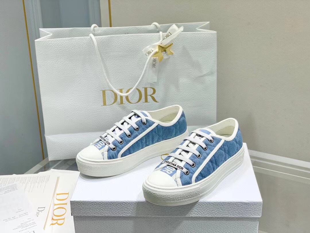 Dior D22 Fall Sneaker Shoes