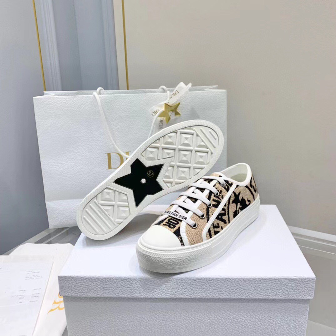 Dior D22 Fall Sneaker Shoes - AlimorLuxury