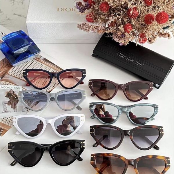 Dior Sunglasses DSGTS6FXR