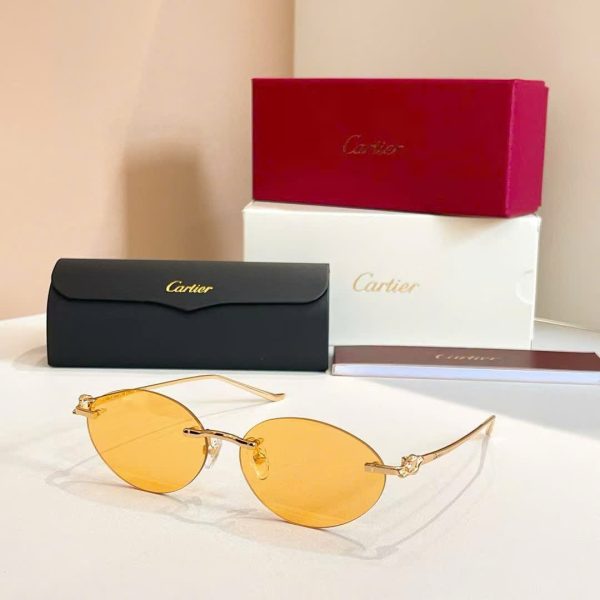 Cartier Sunglasses CT0504S