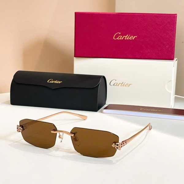 Cartier Sunglasses CT074S