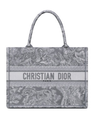 Christian Dior Small Dior Book Tote Gray