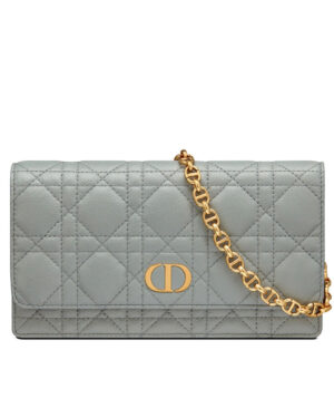 Christian Dior Caro Belt Pouch With Chain Gray