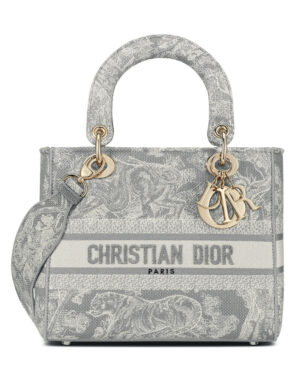Christian Dior Medium Lady D-Lite Bag Gray