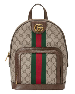 Gucci Ophidia GG small backpack 547965 Dark Coffee