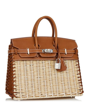 Hermes Birkin 25 Picnic Sellier Coffee
