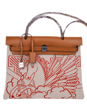 Hermes Herbag Zip Pegase Pop PM 31 Capucine Bag Coffee