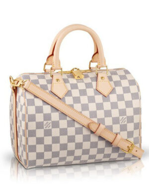 Louis Vuitton Damier Speedy N41000 White