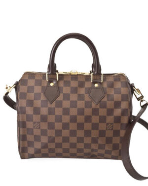 Louis Vuitton Damier Speedy N41181 Brown