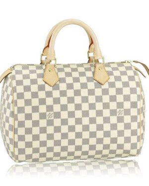 Louis Vuitton Damier Canvas Speedy N41535 White