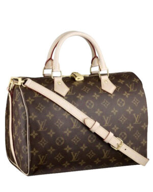 Louis Vuitton monogram speedy M40391 Brown
