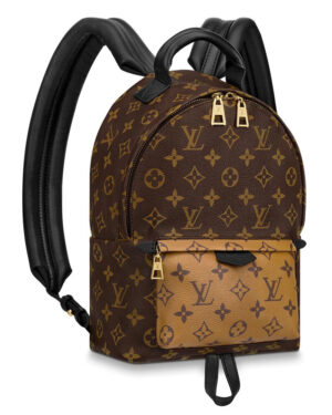 Louis Vuitton Palm Springs Pm M44870 Brown