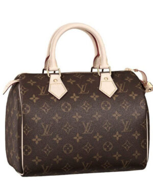 Louis Vuitton Speedy M41528 Brown
