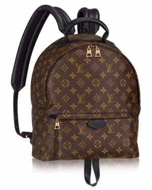 Louis vuitton Palm Springs Backpack PM M41560 Black