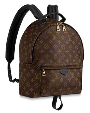 Louis vuitton Palm Springs Backpack MM M41561 Black
