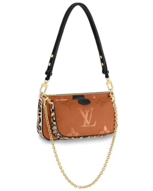 Louis Vuitton Multi Pochette Accessoires