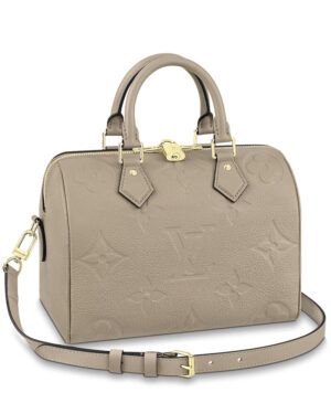 Louis Vuitton Speedy Bandouliere 20 M58953 M59273 Gray