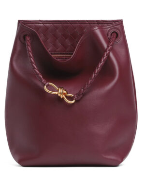 Bottega Veneta Andiamo Bucket