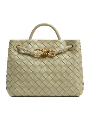 Bottega Veneta Small Andiamo