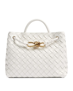 Bottega Veneta Small Andiamo