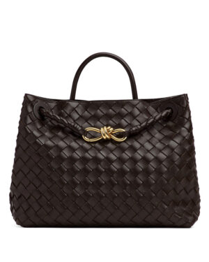 Bottega Veneta Medium Andiamo